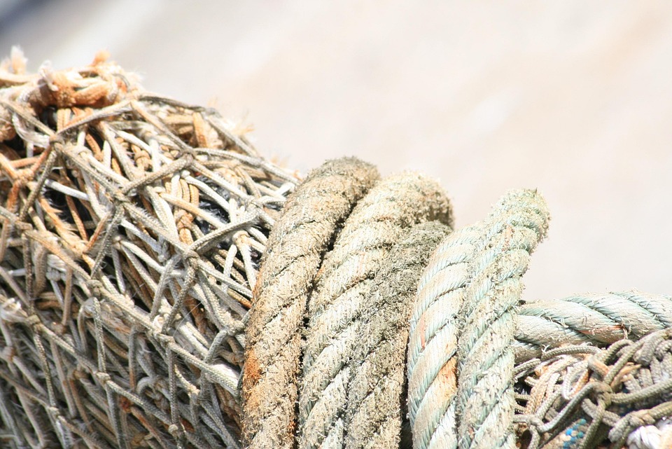 Boost Google SEO Rank Today