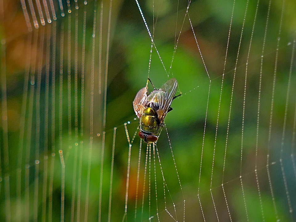 Top SEO Tools for Google Sheets