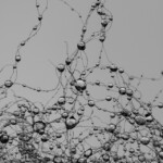 Boost Google SEO Agency Rankings