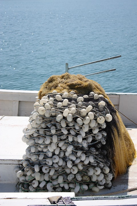 Check Website SEO with Google Tools